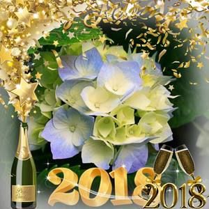 Meet your Posher, Maryellen